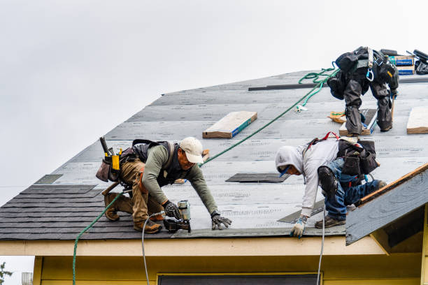 Professional Flat Roof Repair technician working in Hampton, NE